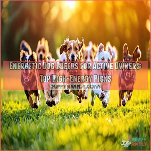 energetic dog breeds for active owners