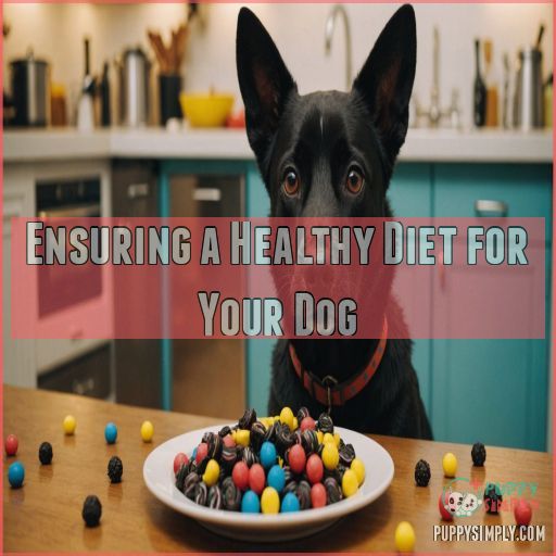 Ensuring a Healthy Diet for Your Dog