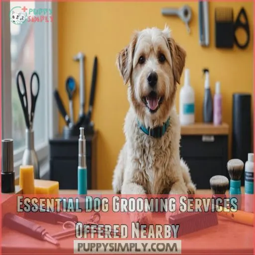 Essential Dog Grooming Services Offered Nearby