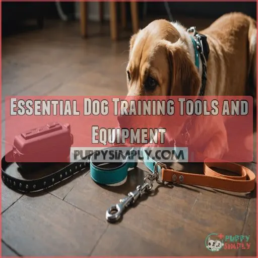 Essential Dog Training Tools and Equipment