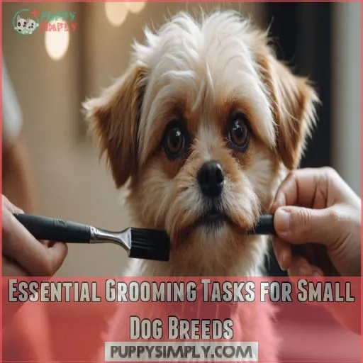 Essential Grooming Tasks for Small Dog Breeds