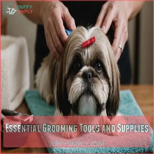 Essential Grooming Tools and Supplies