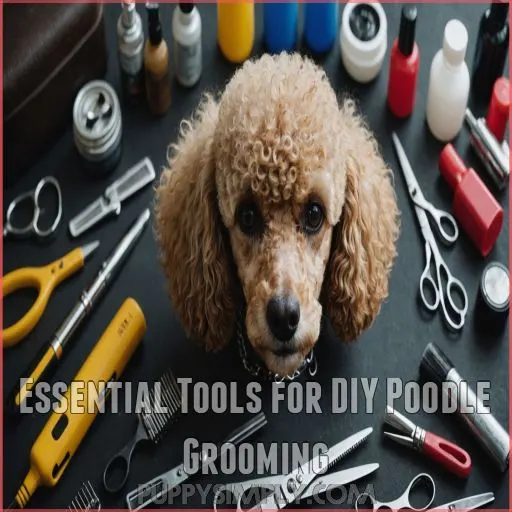 Essential Tools for DIY Poodle Grooming