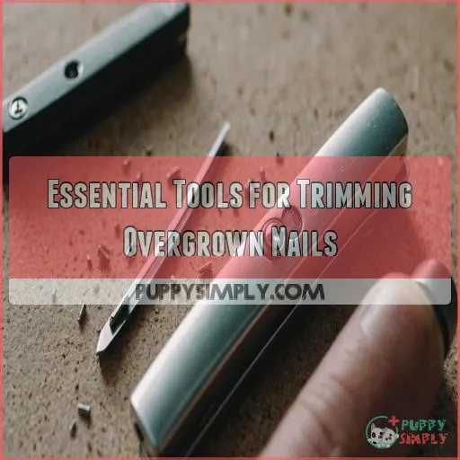 Essential Tools for Trimming Overgrown Nails