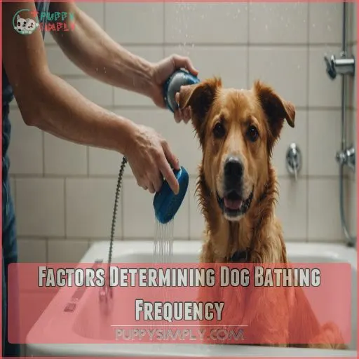 Factors Determining Dog Bathing Frequency