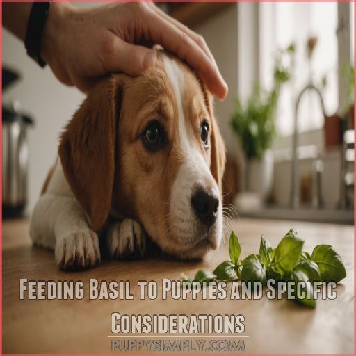 Feeding Basil to Puppies and Specific Considerations