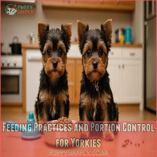 Feeding Practices and Portion Control for Yorkies