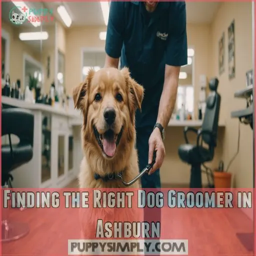 Finding the Right Dog Groomer in Ashburn