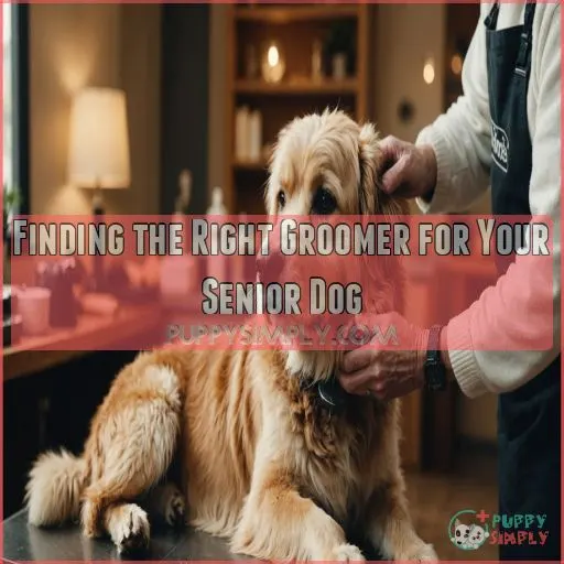 Finding the Right Groomer for Your Senior Dog