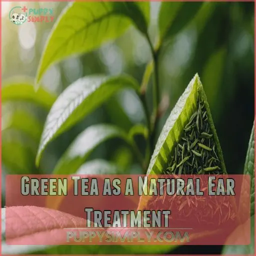 Green Tea as a Natural Ear Treatment