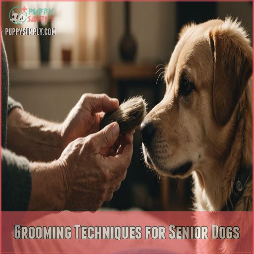 Grooming Techniques for Senior Dogs