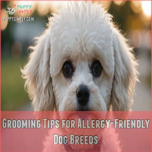 Grooming Tips for Allergy-Friendly Dog Breeds