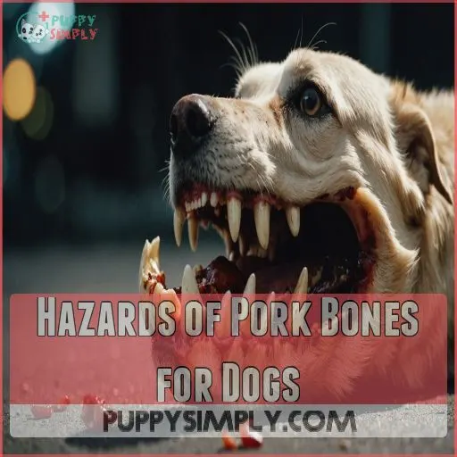 Hazards of Pork Bones for Dogs