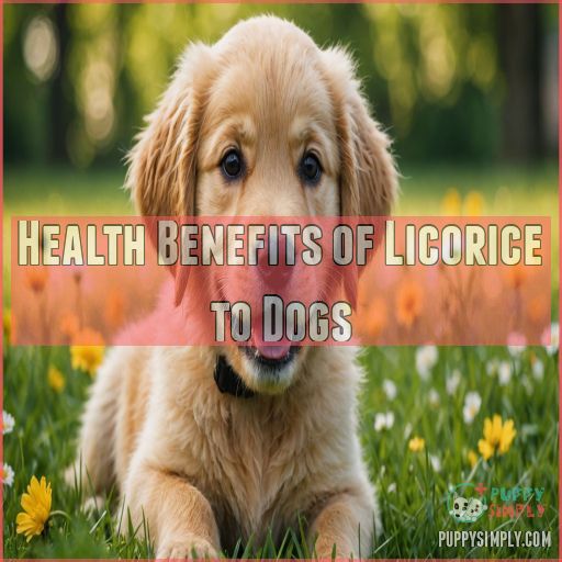 Health Benefits of Licorice to Dogs