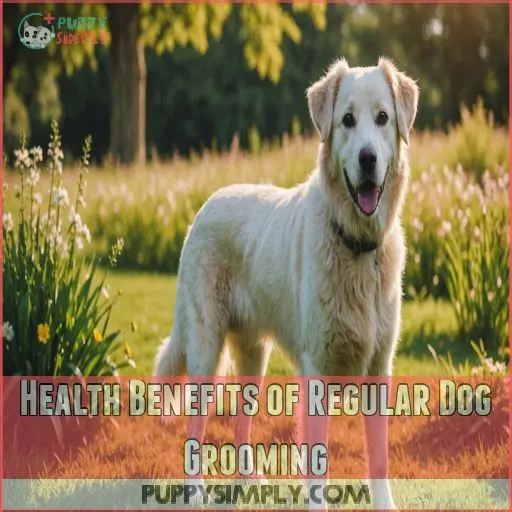 Health Benefits of Regular Dog Grooming