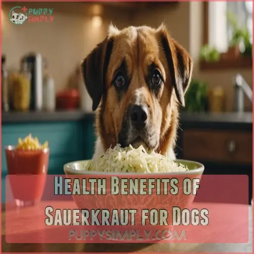 Health Benefits of Sauerkraut for Dogs