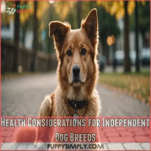 Health Considerations for Independent Dog Breeds