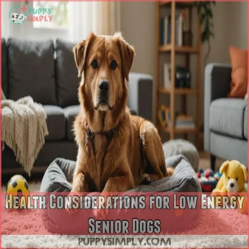 Health Considerations for Low Energy Senior Dogs