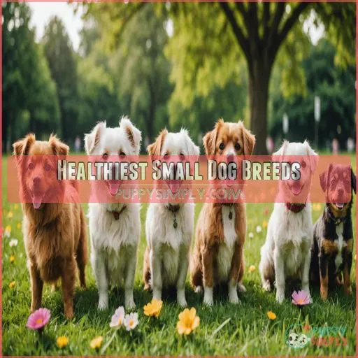 Healthiest Small Dog Breeds