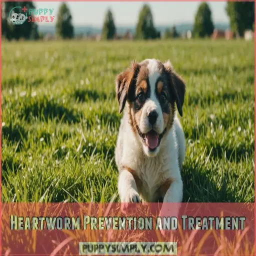 Heartworm Prevention and Treatment