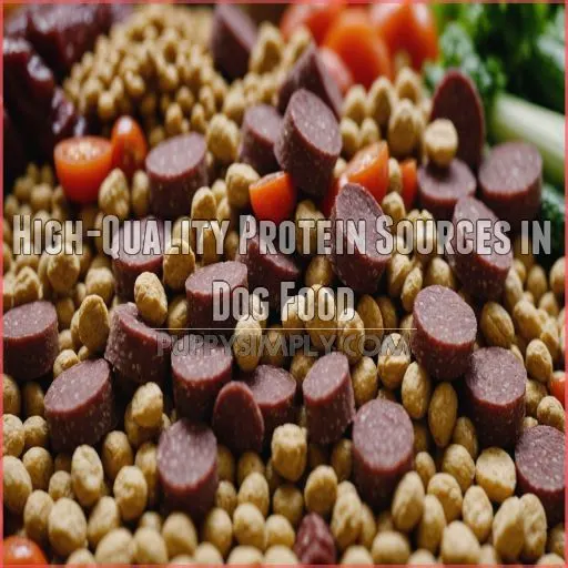 High-Quality Protein Sources in Dog Food