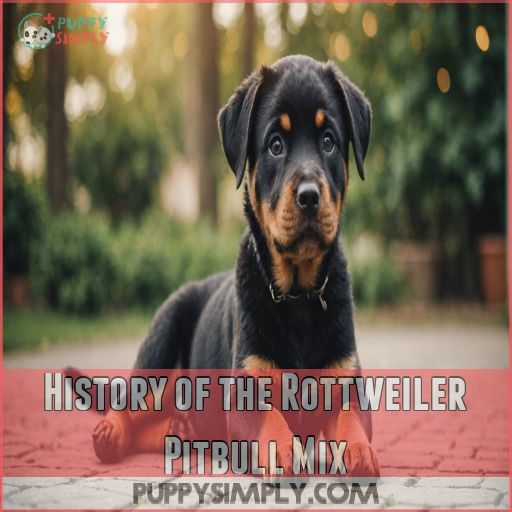 History of the Rottweiler Pitbull Mix