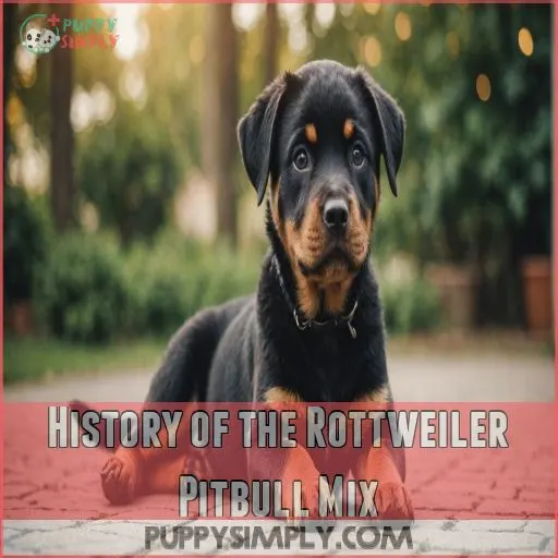 History of the Rottweiler Pitbull Mix