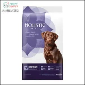 Holistic Select Natural Dry Dog