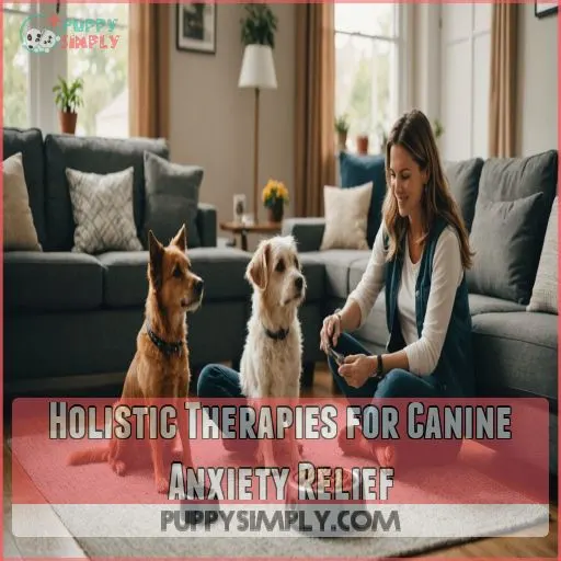 Holistic Therapies for Canine Anxiety Relief