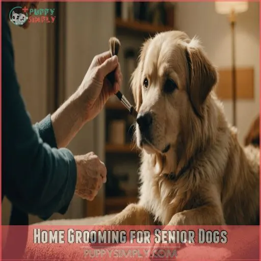 Home Grooming for Senior Dogs