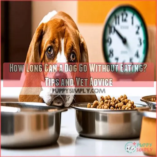 how long can a dog go without eating