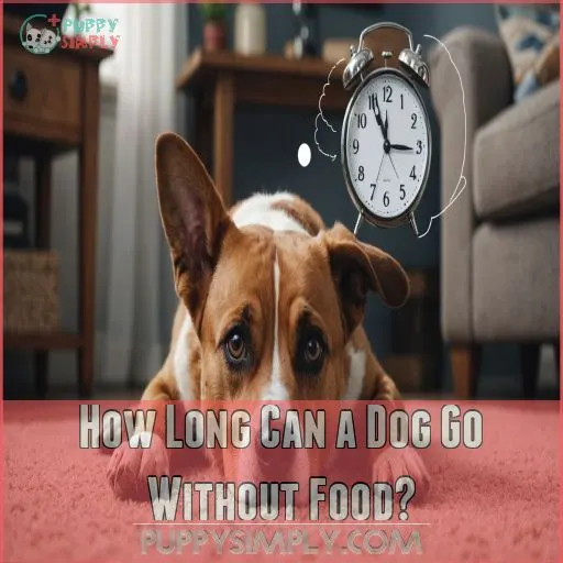 How Long Can a Dog Go Without Food