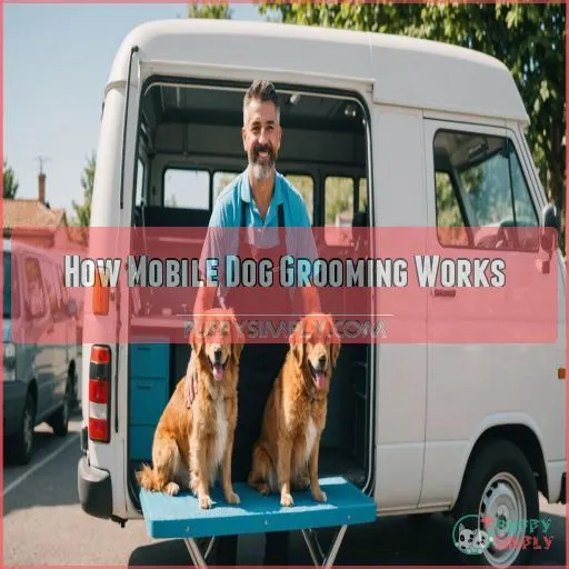 How Mobile Dog Grooming Works