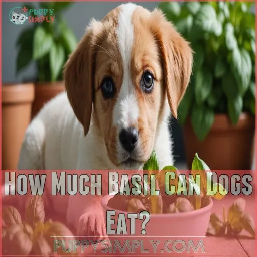 How Much Basil Can Dogs Eat