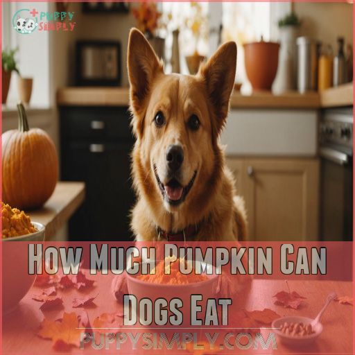 How Much Pumpkin Can Dogs Eat