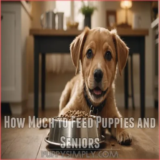 How Much to Feed Puppies and Seniors