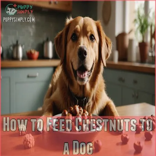 How to Feed Chestnuts to a Dog