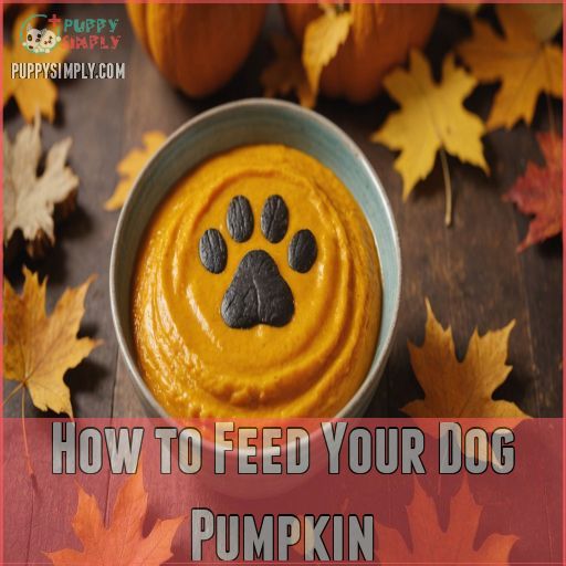 How to Feed Your Dog Pumpkin