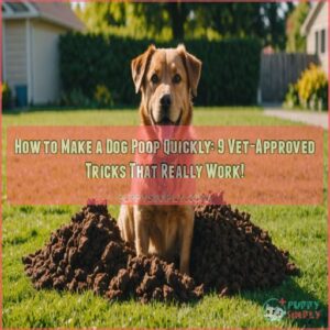 how to make a dog poop quickly