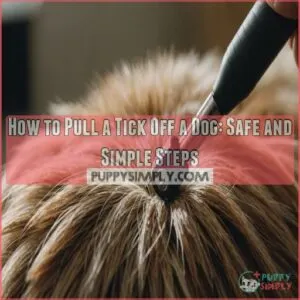 how to pull a tick off a dog