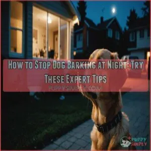 how to stop dog barking at night