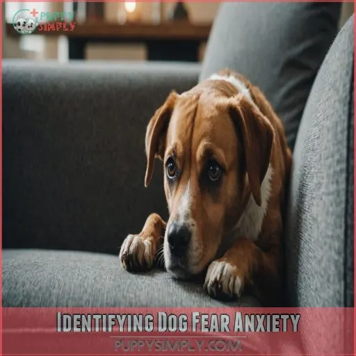 Identifying Dog Fear Anxiety