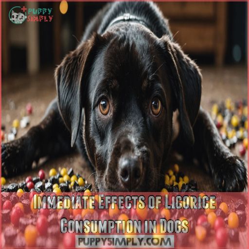 Immediate Effects of Licorice Consumption in Dogs