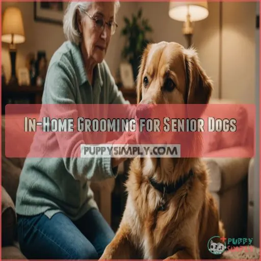 In-Home Grooming for Senior Dogs