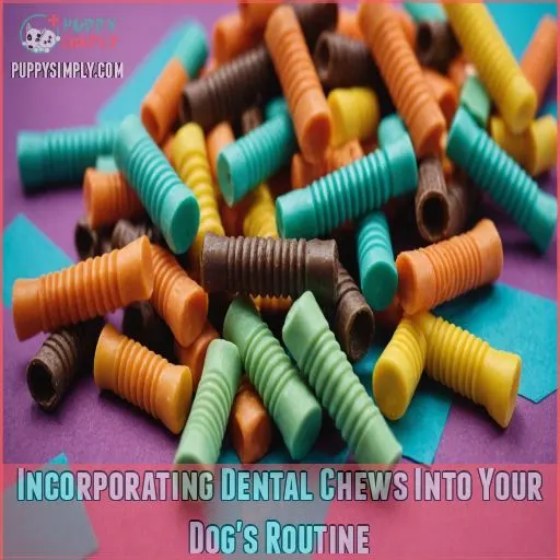 Incorporating Dental Chews Into Your Dog