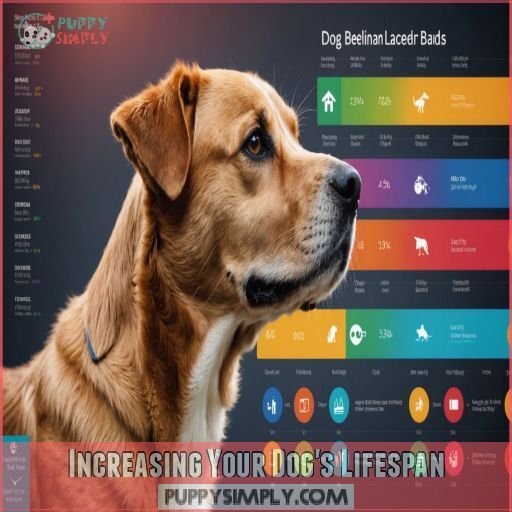 Increasing Your Dog's Lifespan