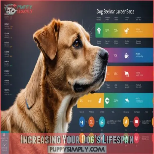 Increasing Your Dog