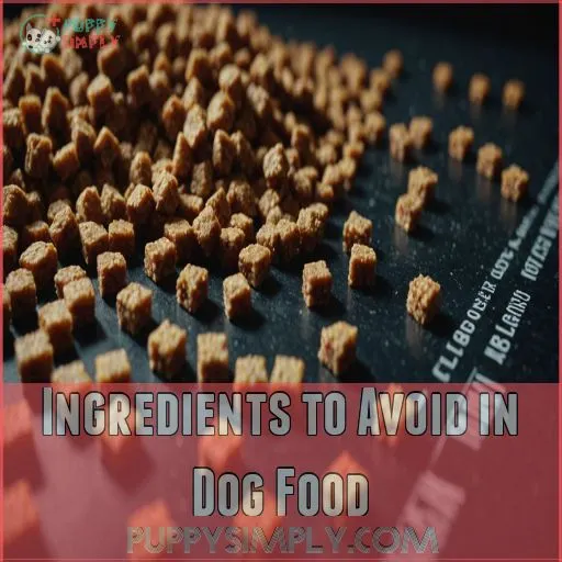 Ingredients to Avoid in Dog Food