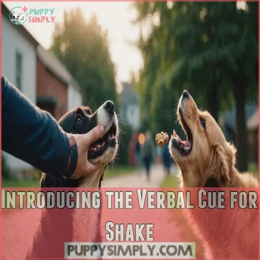 Introducing the Verbal Cue for Shake