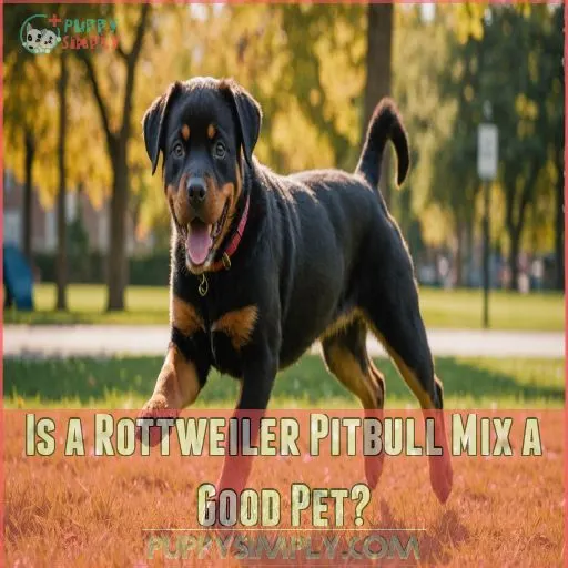 Is a Rottweiler Pitbull Mix a Good Pet